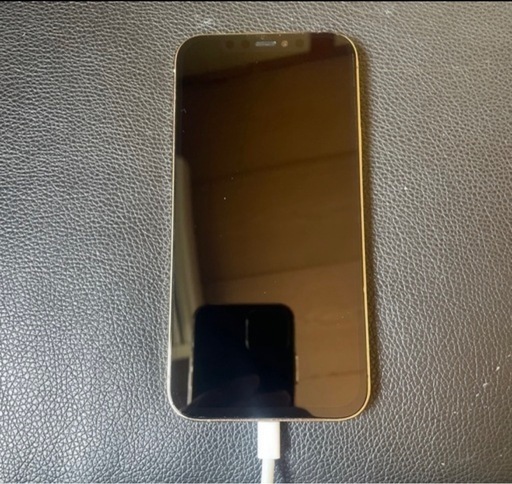 家電 iPhone12pro