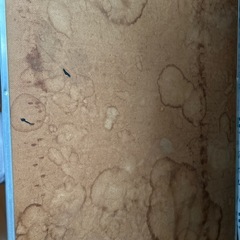 ホワイトボードの画像
