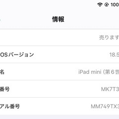 iPad mini 256GB第6世代
