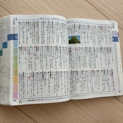 Benesse 小学国語辞典の画像