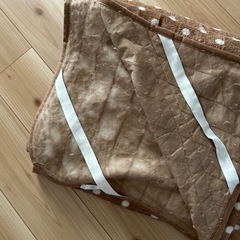 カーペットカバーの画像
