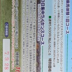 🔵特別優待⭐️乗馬チケット🔵の画像