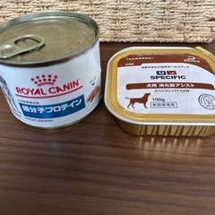 犬用缶詰の画像