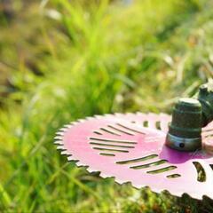 庭の草抜き、草刈り