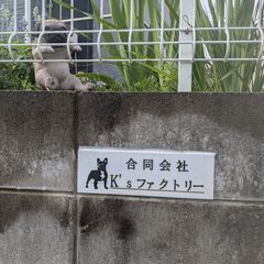 不動産の空き家管理から残置物撤去までご相談下さい！！
