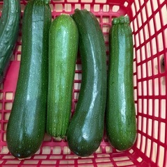 ズッキーニ  一本100円で😊