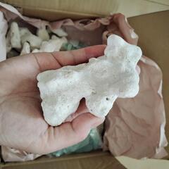 【洗浄済 · 未使用品】サンゴとシーグラスの画像