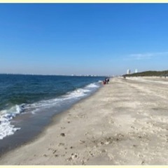 FTMまたはセクマイの方、海水浴行きませんか？🌊