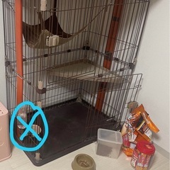 ウッドワンサークル キャット 2段タイプ無料