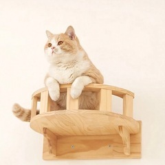 キャットステップ　キャットウォーク