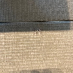 和紙製　琉球畳　置き畳　6畳　12枚の画像