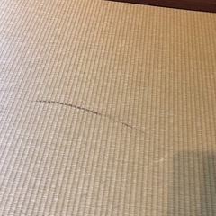和紙製　琉球畳　置き畳　6畳　12枚の画像