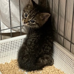 慎重派のみなみちゃん