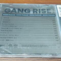 【新品未開封】　GANG RISE　厳選盤の画像
