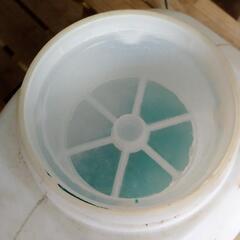 共立エンジン式噴霧器 キョウリツ 早い者勝ち 新ダイワ ゼノアの画像