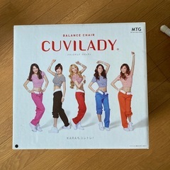 バランスチェア　クビレディの画像