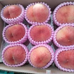犬山の桃　日川白鳳　9個入小箱1箱　税込1300円の画像