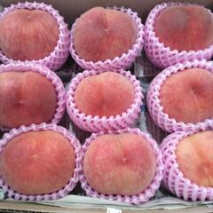 犬山の桃　日川白鳳　9個入小箱1箱　税込1300円の画像