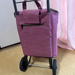 軽い！ショッピングキャリーカート　保冷　お買い物やお出かけに◎　の画像