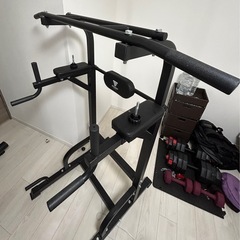 取引決まりました。【定価-87%OFF！】STEADY製 懸垂マ...