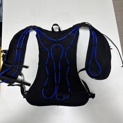 アイスマンプロベストの画像