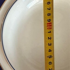 アダムandイヴ　お皿2種10点の画像