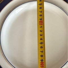 アダムandイヴ　お皿2種10点の画像