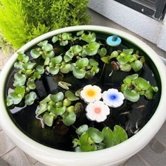 浮陶器 花 3種セット！の画像