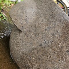 リサイクルショップどりーむ天保山店　No2962　石臼　直径46㎝　メダカの飼育にもオススメ♪　現状品販売の画像
