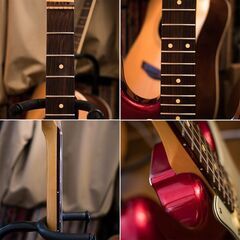 ギグバッグセット Grass Roots G-SE-50R 極美品の画像