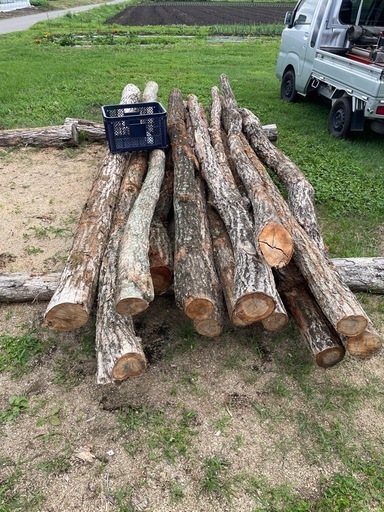 薪用材　楢　ナラ原木　１m3 長野県発