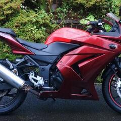 ニンジャ250R　走行19200km　(No.2416)
