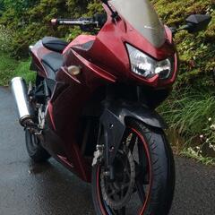 ニンジャ250R　走行19200km　(No.2416)の画像