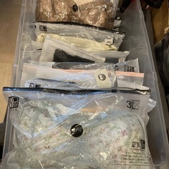 インナーどれでも1点220円