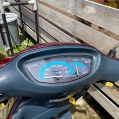 ☆ ★ タクト ★ ☆の画像