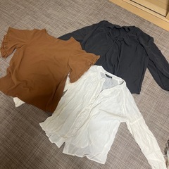 レディース
