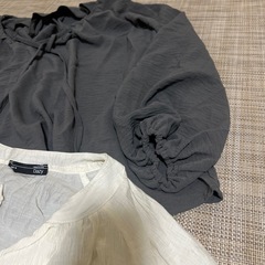 レディースの画像