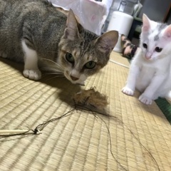 とても仲のいい親子♡元気もりもり！