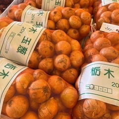 栃木県産玉葱🧅20Kの画像