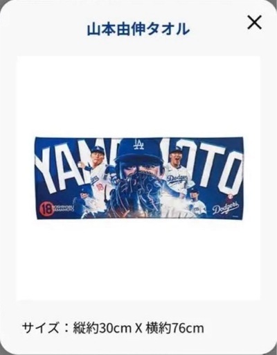 ロサンゼルスドジャース ファンクラブ入会記念 グッズ フルセット6点