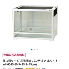 爬虫類ケージ 三晃商会 パンテオン WH6045
