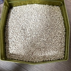 水槽セット　砂利の画像