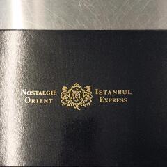 0626-045 ORIENTEXPRESSカップ&ソーサー(未使用)の画像