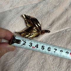 ブローチの画像