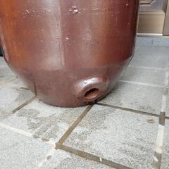 瓶 水瓶   メダカ  金魚  水草  雨水   傘立て   の画像