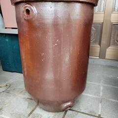 瓶 水瓶   メダカ  金魚  水草  雨水   傘立て …