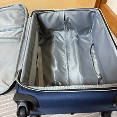 サムソナイト キャリングケース 42L 超美品の画像