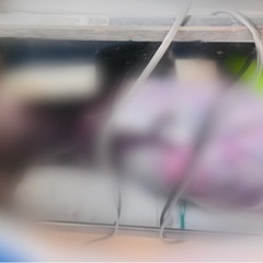 24インチテレビ・ジャンク品