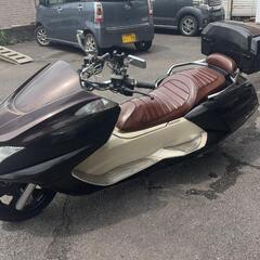 大人気　マグザムの画像