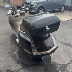 大人気　マグザムの画像